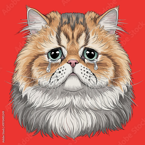 Sad cat with tears on face.