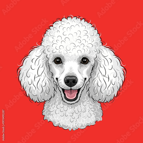 White Poodle Dog Smiling Face Portrait.