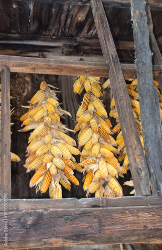 Corn stored ina raised granary in Argame, Asturias, Northern Spain