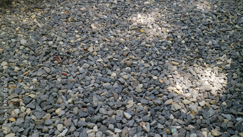 Photos Top down view of gray gravel stones forming a rough textured background with sca