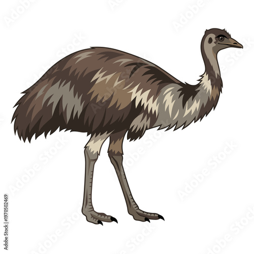 Emu standing gracefully in a natural pose, showcasing its unique features