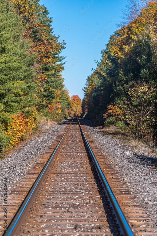 Fototapeta premium railway in fall sunny forest