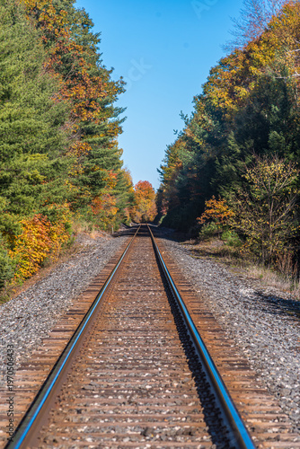 railway in fall sunny forest