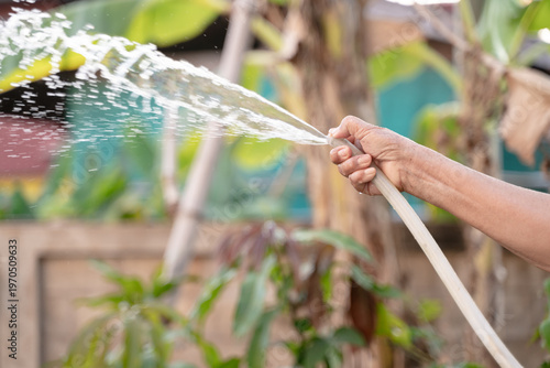 An elderly hand holding a hose, spraying water in a lush garden with a blurred natural background.