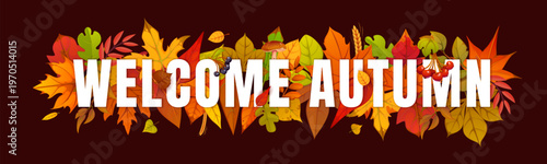 Welcome autumn seasonal banner with golden wheat stalks, rowan berries, forest mushrooms and orange yellow leaves. Bright vector banner for seasonal greetings, Thanksgiving promotion and farm festival