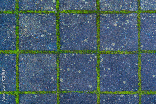 GRID