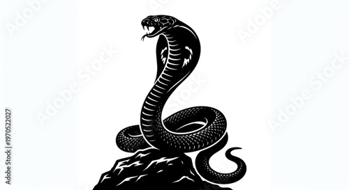Black Cobra Silhouette Vector Illustration Isolated on White Background