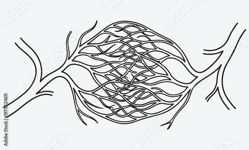 Abstract Line Art of a Capillary Network and Vascular Plexus; Medical Illustration of Branching Blood Vessels, Veins and Artery