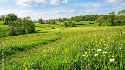 Green grassy field with wildflowers.