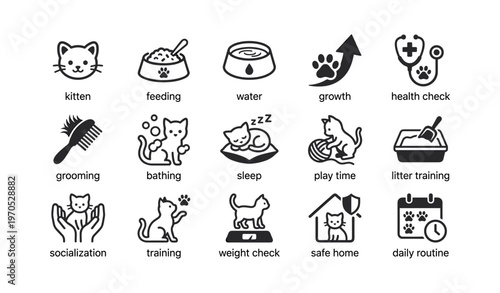 Cat care icons: grooming, feeding, training, health check, playtime