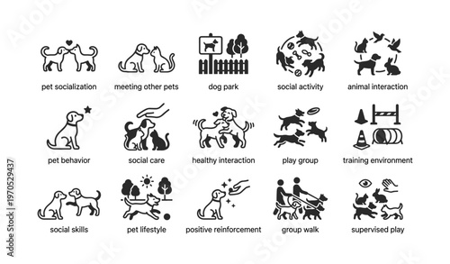 Dog socialization activities icons for pets and training