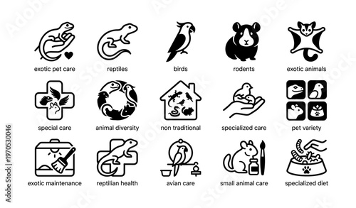 Exotic animal care icons illustrating pet diversity and specialized health services