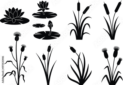 Silhouette Collection of Aquatic Plants and Thistles water lily lotus