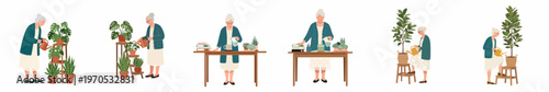 Set of flat vector illustrations showing an elderly woman watering house plants and pouring water at her desk.