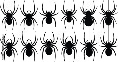 Spider Silhouettes Set, Halloween and Creepy Crawly Spiders for Spooky and Horror-Themed Designs