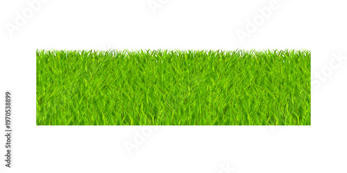 Green grass tuft isolated on white background realistic fresh lawn clump natural plant element for garden design landscaping decoration high detail illustration
