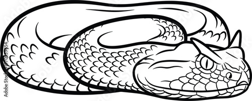 Coiled Snake Vector Illustration with Detailed Line Art for Wildlife, Reptiles, and Venomous Creatures Designs