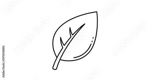 Simple Line Drawing of Single Leaf.