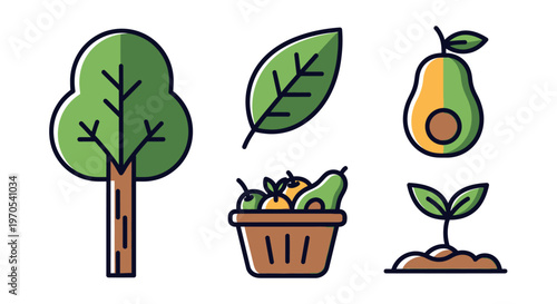 Avocado tree and fruit illustration.