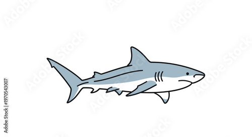 Gray shark swimming in ocean water.