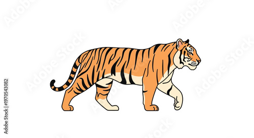 Tiger walking in profile view.