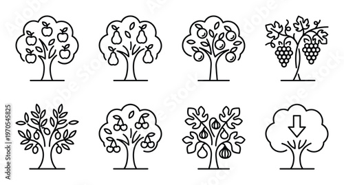 Garden fruit tree icon set, harvest apple, pear, orange, grape, olive, cherry, fig, yield