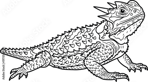 Fotografie Spiny Lizard Vector Illustration with Detailed Line Art for Reptiles, Wildlife,