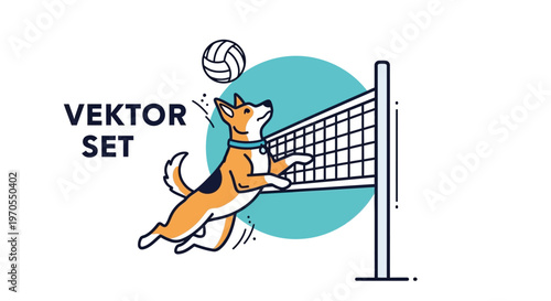 Dog playing volleyball jumping over net.