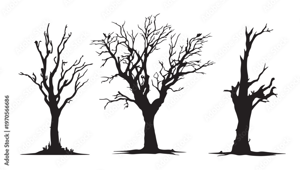 Fototapeta premium Shadow Trees in Nature: Silhouettes of bare trees stand in stark contrast, embodying the quiet beauty of nature's stark, simple lines, evoking a sense of solemnity and introspection.