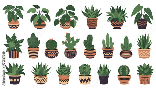 Colorful collection of diverse houseplants including cacti and leafy plants in patterned pots on a white background.