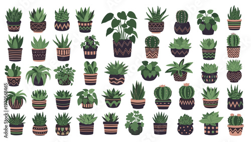 Diverse collection of various green indoor plants and succulent species in patterned decorative ceramic pots for home design.