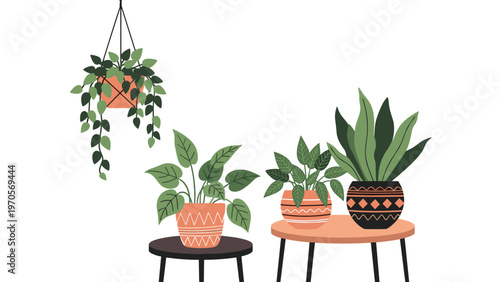 Small collection of green potted houseplants arranged on stylish side tables and a hanging planter in a home setting.