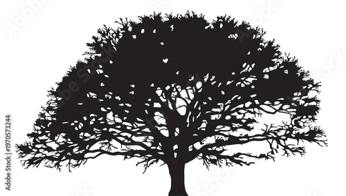 Silhouette of the Mighty Tree: A striking black and white silhouette of a grand tree, its expansive branches and detailed foliage reaching towards the sky.