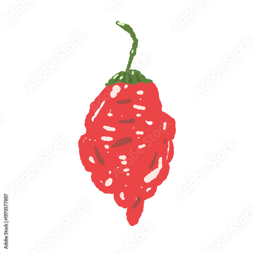 Red Habanero Pepper Illustration