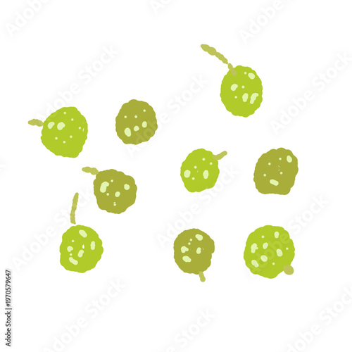 Scattered Fresh Green Sansho Berries