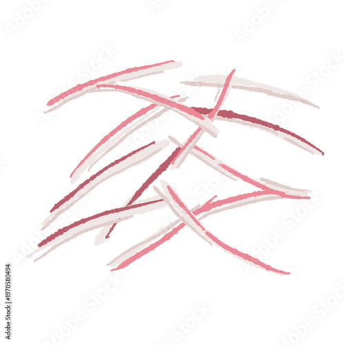 Shredded Myoga Ginger Strips