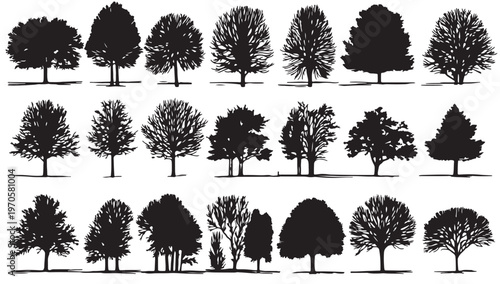 Collection of Trees Silhouette: A comprehensive collection of meticulously rendered tree silhouettes, each offering a unique display of branches and foliage. Perfect for design, art.
