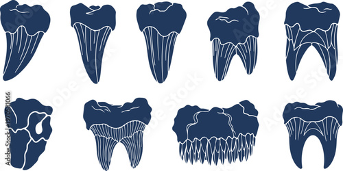 Vector illustration set of medical dental icons featuring cartoon tooth characters and healthy molar symbols for dentistry hygiene and mouth care design