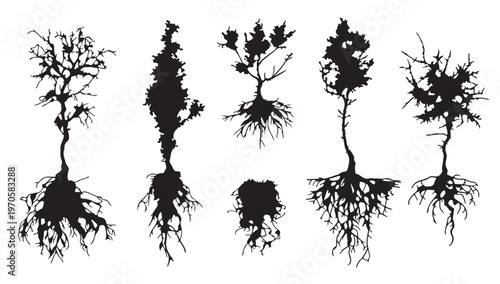 Abstract tree silhouette collection: A captivating collection of abstract tree silhouettes, showcasing diverse shapes and root systems, a versatile and artistic concept.