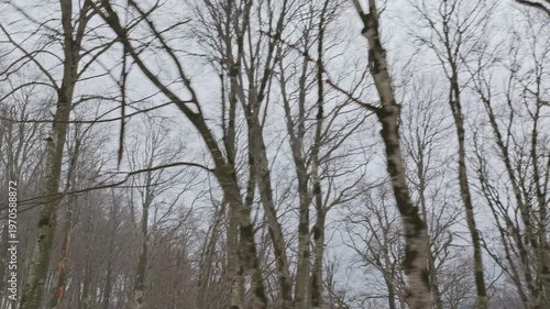 Driving through a snowy winter forest road