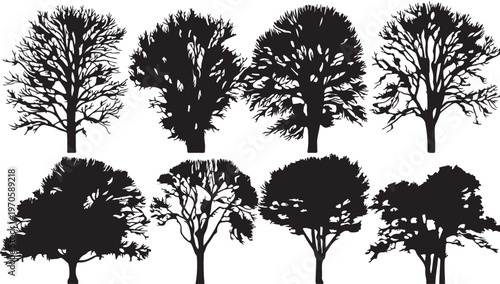 Silhouettes of arboreal wonders: A striking illustration showcases an array of arboreal forms, each meticulously designed to highlight the beauty of nature's architects.