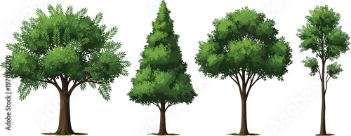 Cartoon tree illustration set featuring four different species with varied canopy shapes, foliage density, and trunk styles for nature, forest, landscape, and botanical design concepts