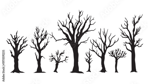 Silhouette of Bare Trees: A stark silhouette of bare trees, their intricate branches reaching towards the sky in a stark contrast.