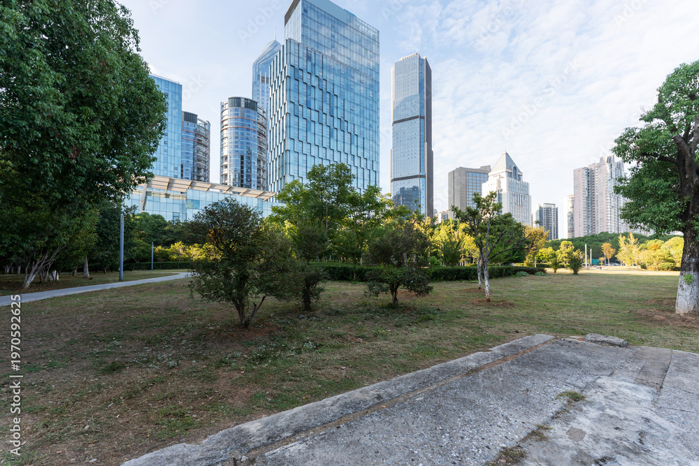 Fototapeta premium city park with modern building background in shanghai