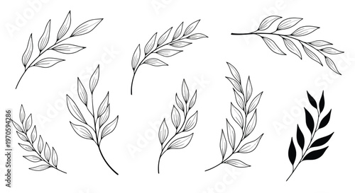 Adobe Illustrator Artwork