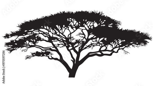 Savanna Tree Silhouette: A stark black silhouette of a characteristic savanna tree, its umbrella-shaped canopy and intricate branches reaching upwards.