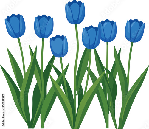 Created on blue tulips blooming in a garden during spring isolated vector art on white background