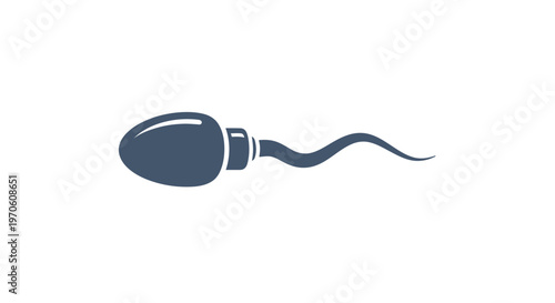 Sperm Cell Anatomy Illustration Detailed View.