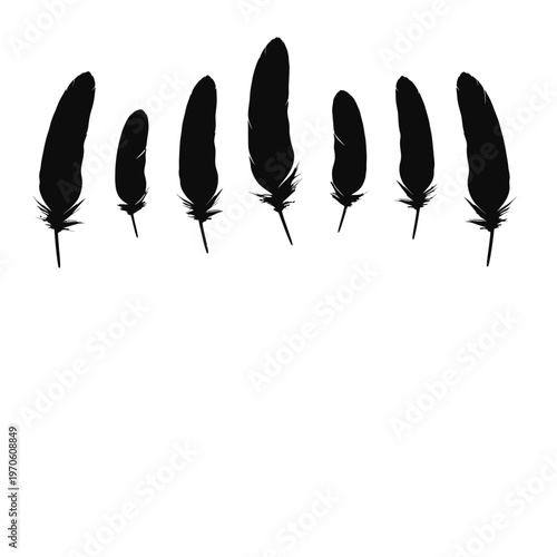 Collection of black feather silhouettes isolated.