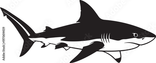 Black and white shark swimming in ocean waters illustration